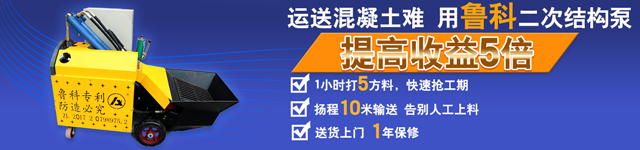 二次構(gòu)造柱專用輸送泵